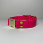 Quick-Release BioThane Collar
