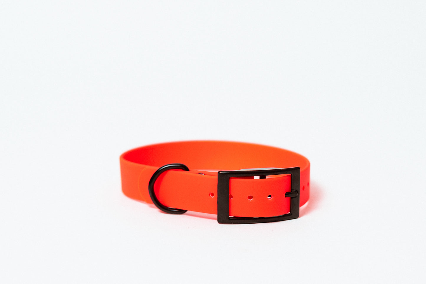 Standard BioThane Collar