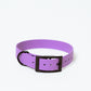 Standard BioThane Collar