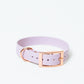 Quick-Release BioThane Collar