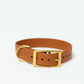 Quick-Release BioThane Collar